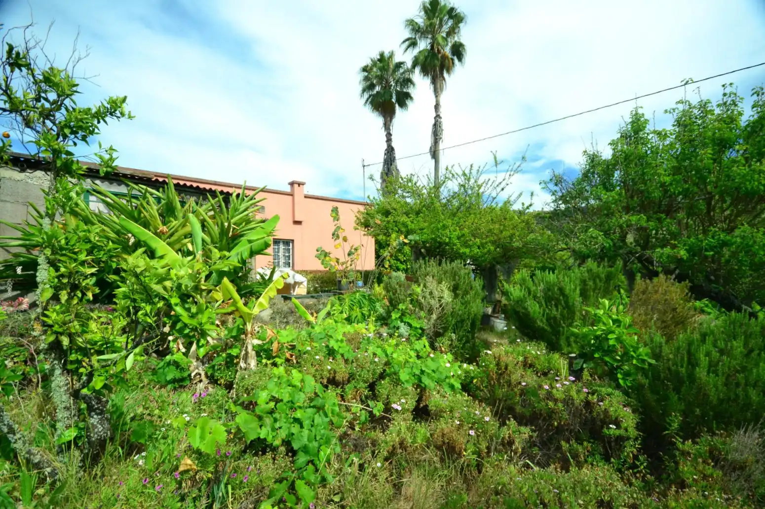Casa in vendita a Tegueste - Calle TEJAR, imagen 21