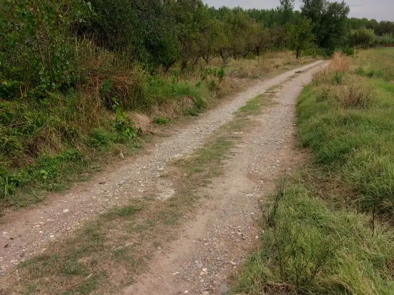 Rural land for sale in Avenida de la Paz 73, imagen 4