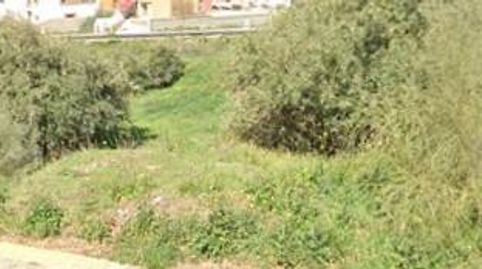 JunTerreno, immagine 3