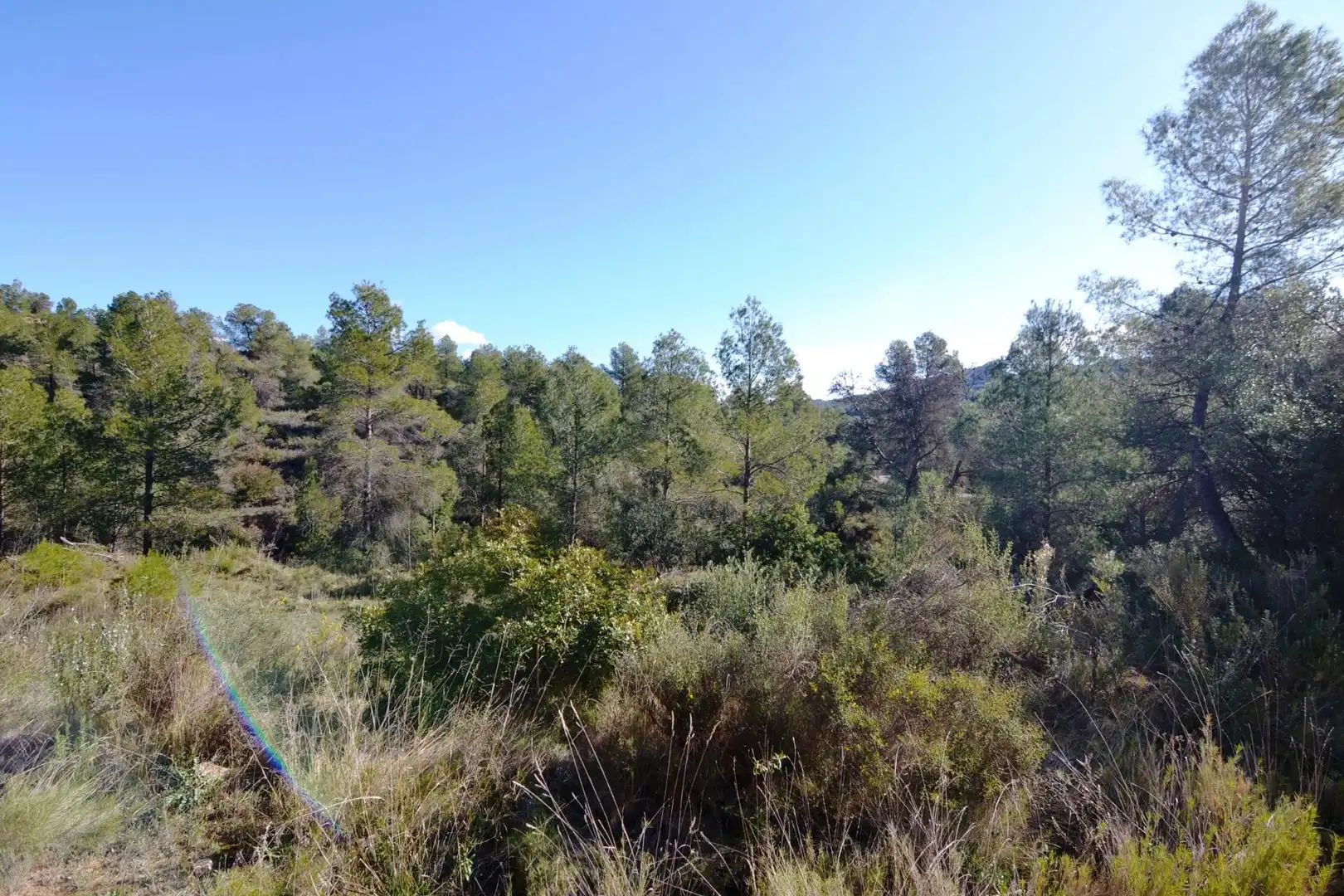 Rural land for sale in Ascó, imagen 11