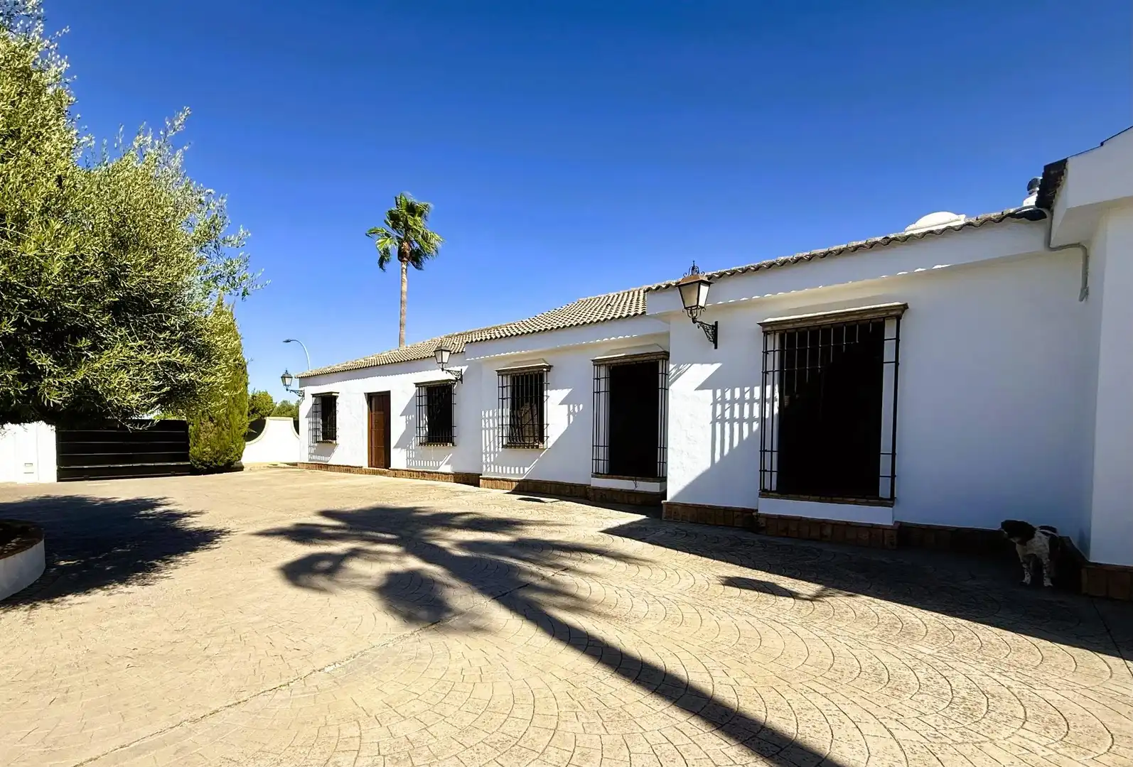 Vista exterior de Casa o xalet en venda en La Rinconada amb Aire condicionat, Jardí privat i Piscina