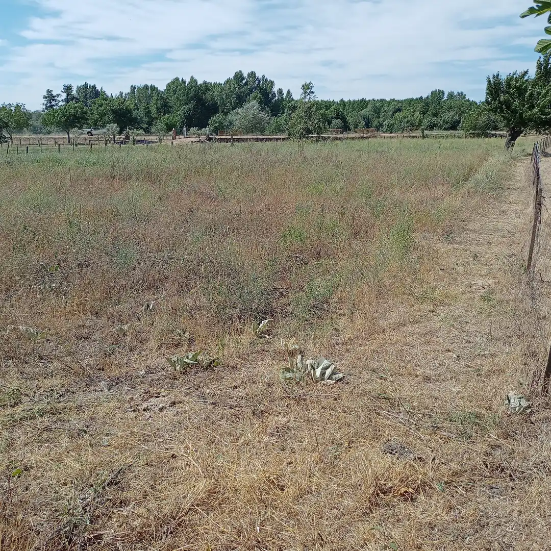 Country house for sale in Calle Bajada de Santa Cruz 6D, imagen 12