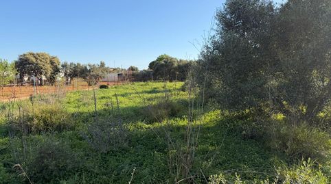 Foto 2 de Residencial en venta en La Soledad, Chiclana de la Frontera