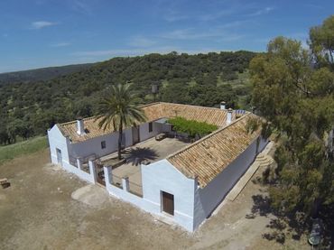 Casa rústica amb jardí en venda a Almodóvar del Río