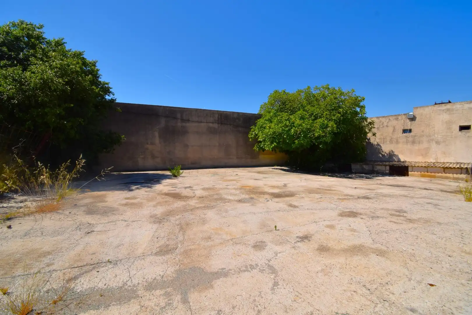 Local commercial à vendre à Muro, imagen 13