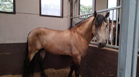 Photo 2 of Commercial properties for sale in Los Felipes - Corral de Carmelo, Chiva