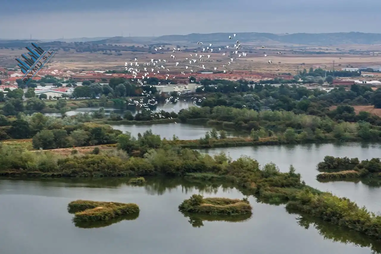 Edifici en venda en Velilla de San Antonio