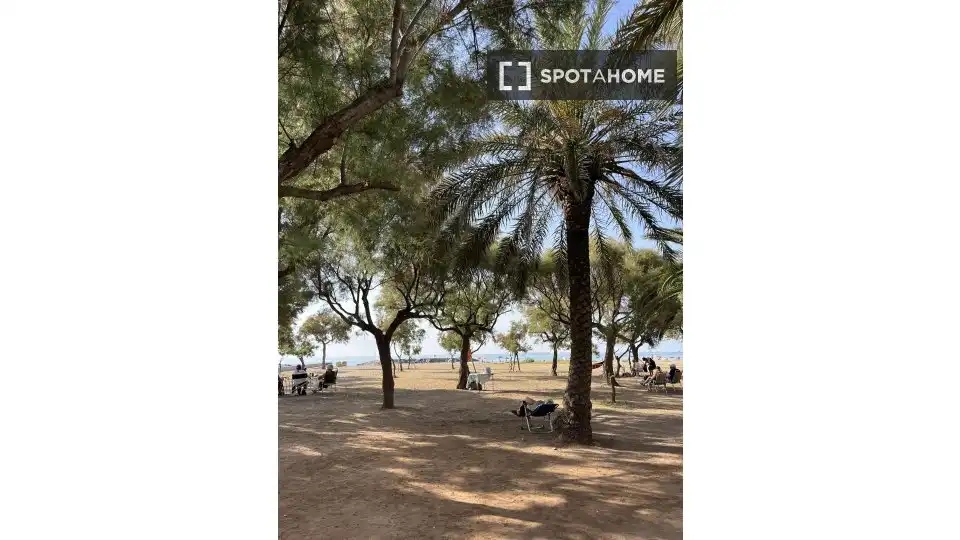 Vista exterior de Apartament per a compartir en Sagunto / Sagunt amb Aire condicionat, Calefacció i Terrassa