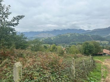 Terreni e lotti in vendita a Cangas de Onís