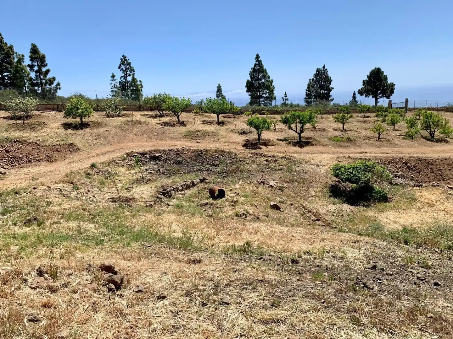 Finca rústica en venda en Granadilla de Abona