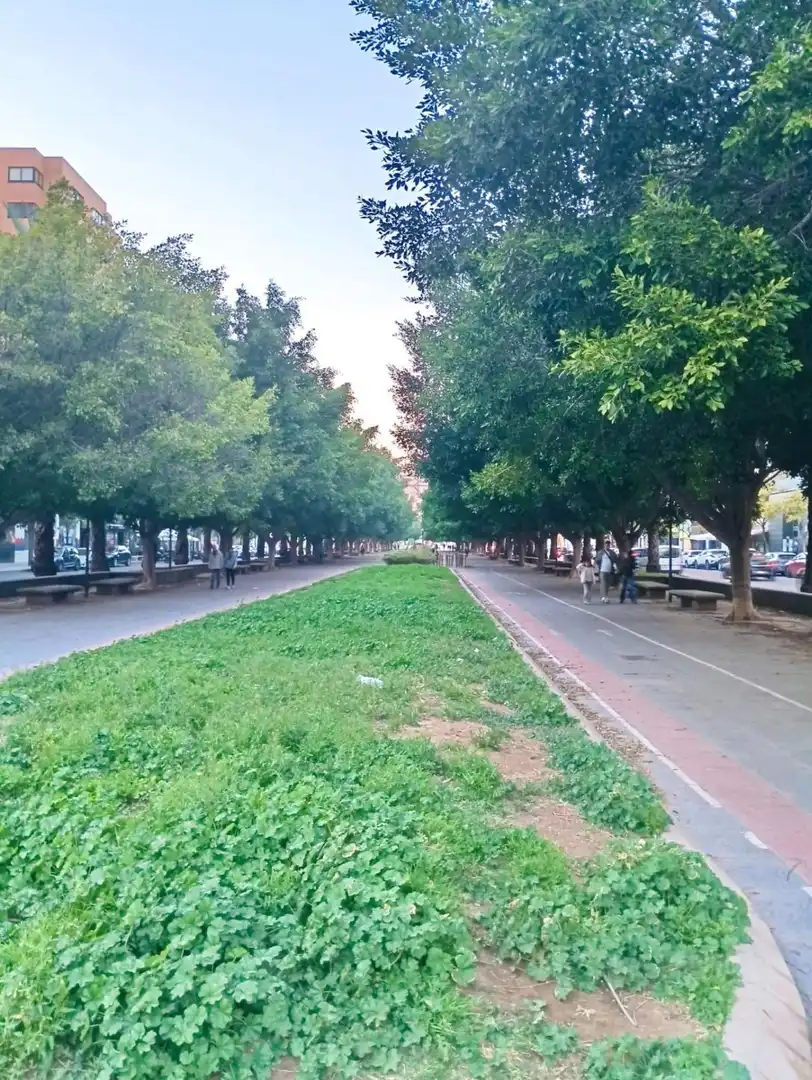 Exterior view of Flat for sale in Alicante / Alacant  with Air Conditioner, Terrace and Storage room