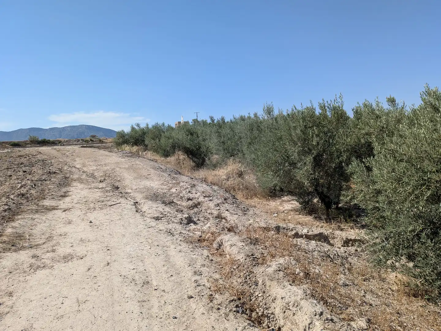 Terrains et parcelles à vendre à Pedanías Centro, imagen 9