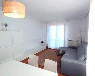 Living room of Flat to rent in Donostia - San Sebastián   with Heating, Terrace and Furnished