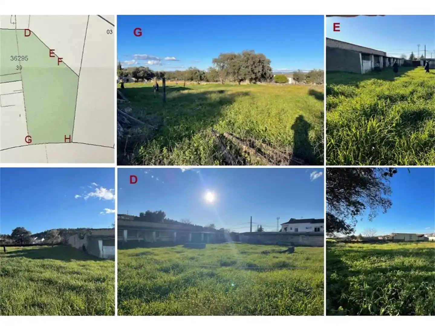 Land for sale in Campofrío