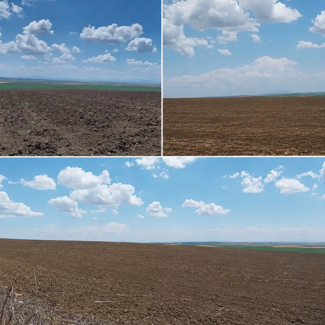 Rural land for sale in Carmona, imagen 3