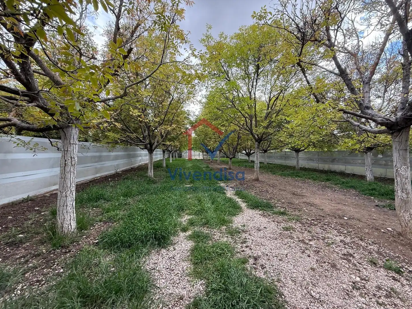 Terreny rústic en venda a Pesquera (Polígono 512), imagen 61