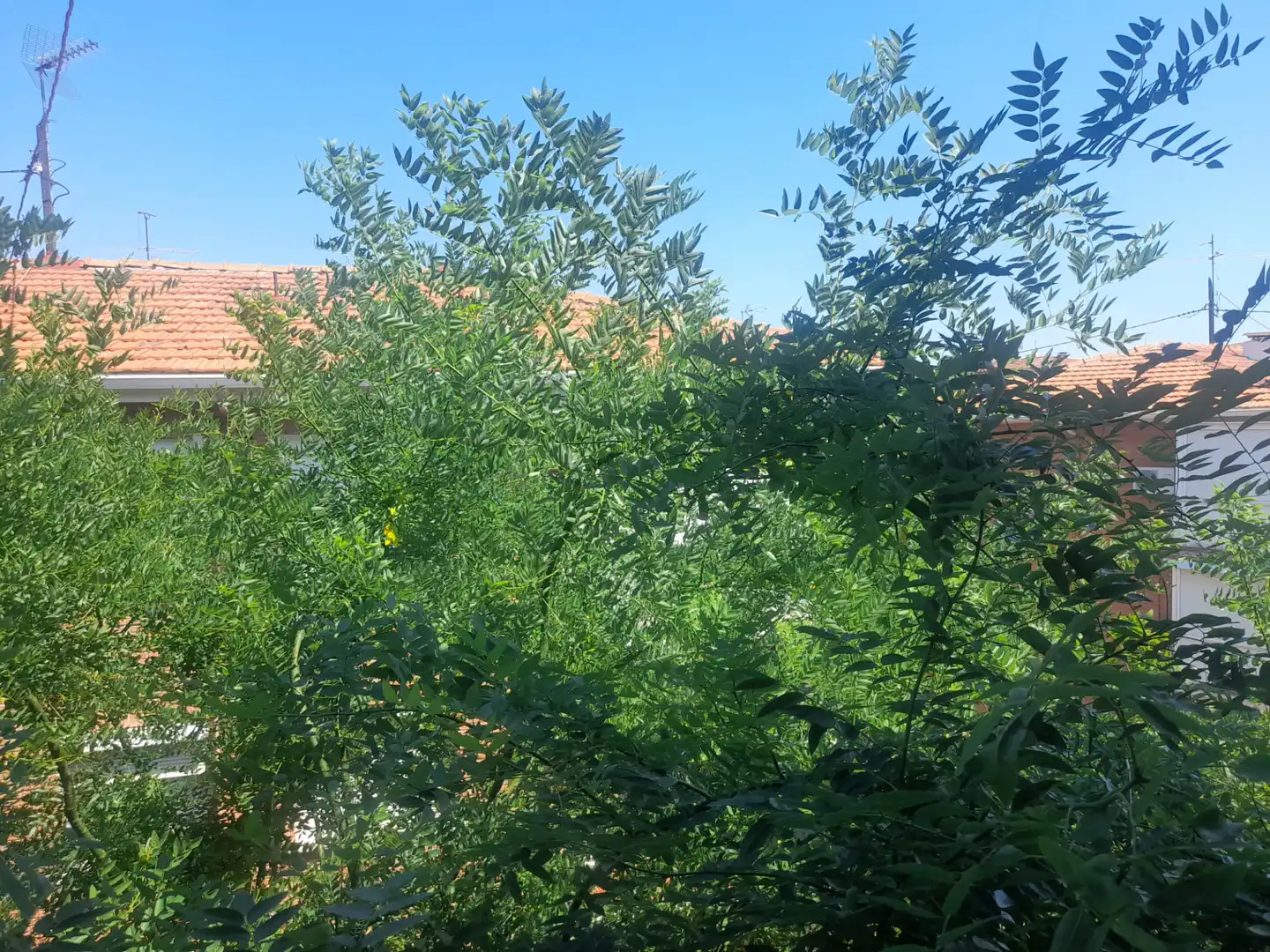 Jardí de Pis en venda en Pozuelo de Alarcón amb Aire condicionat, Calefacció i Parquet