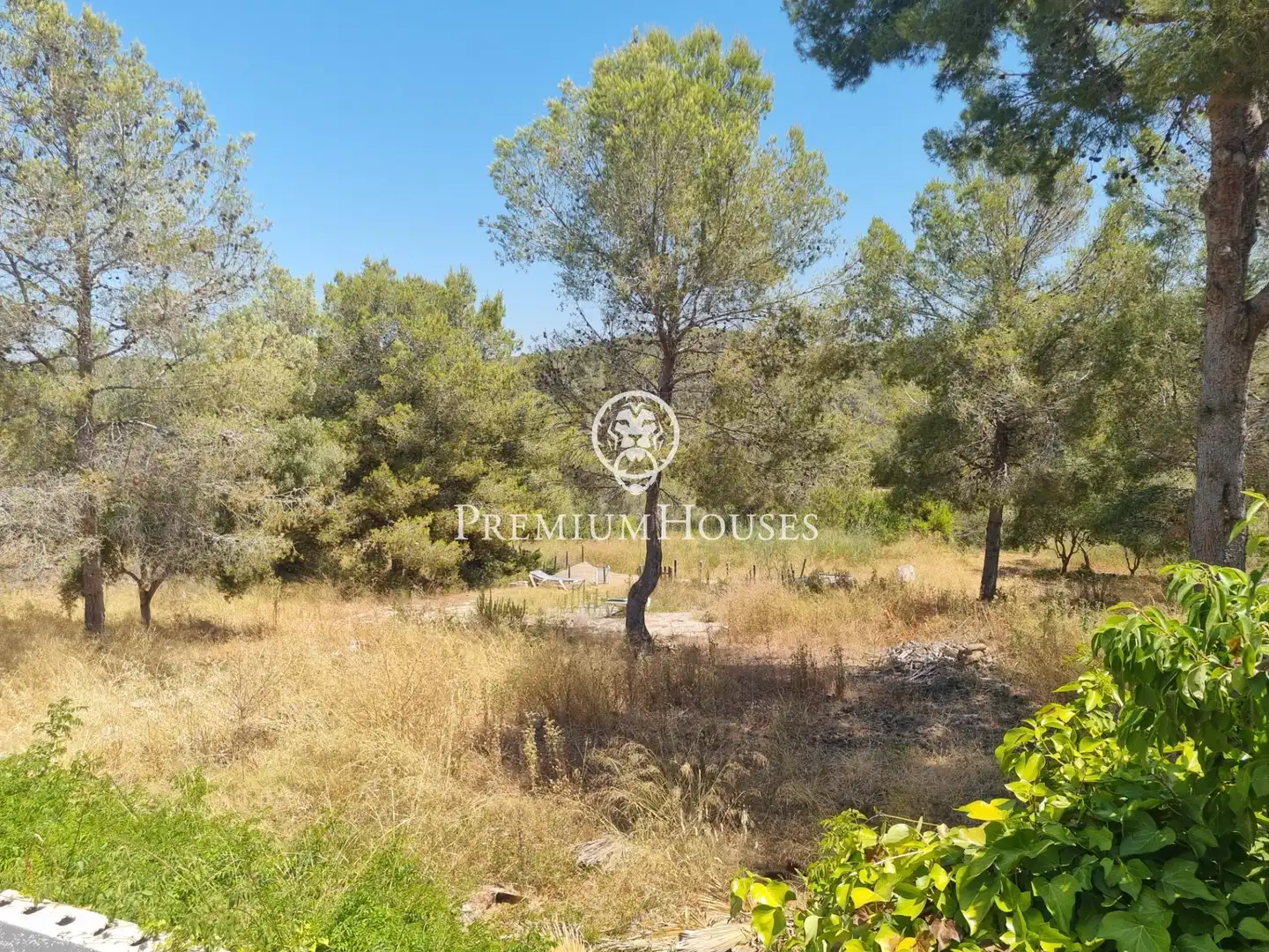 Terrain rustique à vendre à Vallpineda - Rocamar, imagen 9