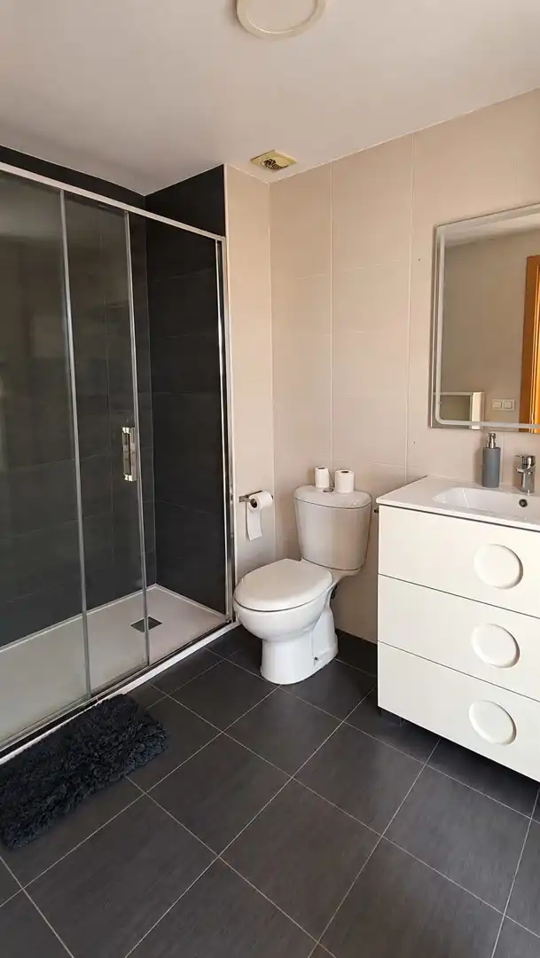 Bathroom of Apartments for rent in Valencia  with Terrace, Swimming Pool and Furnished