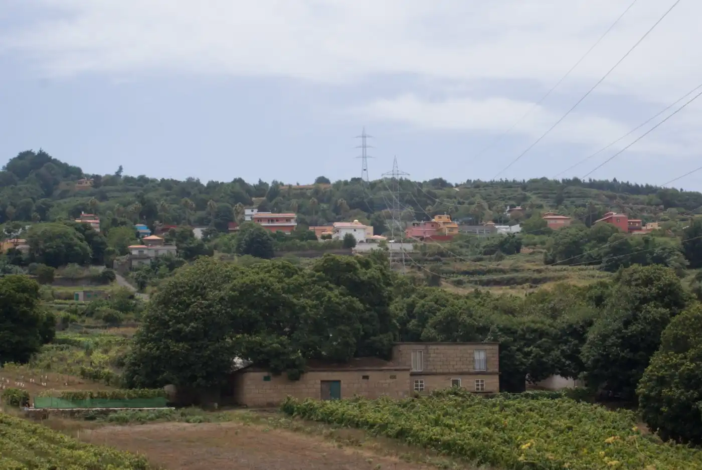 Vista exterior de Terreny en venda en El Sauzal
