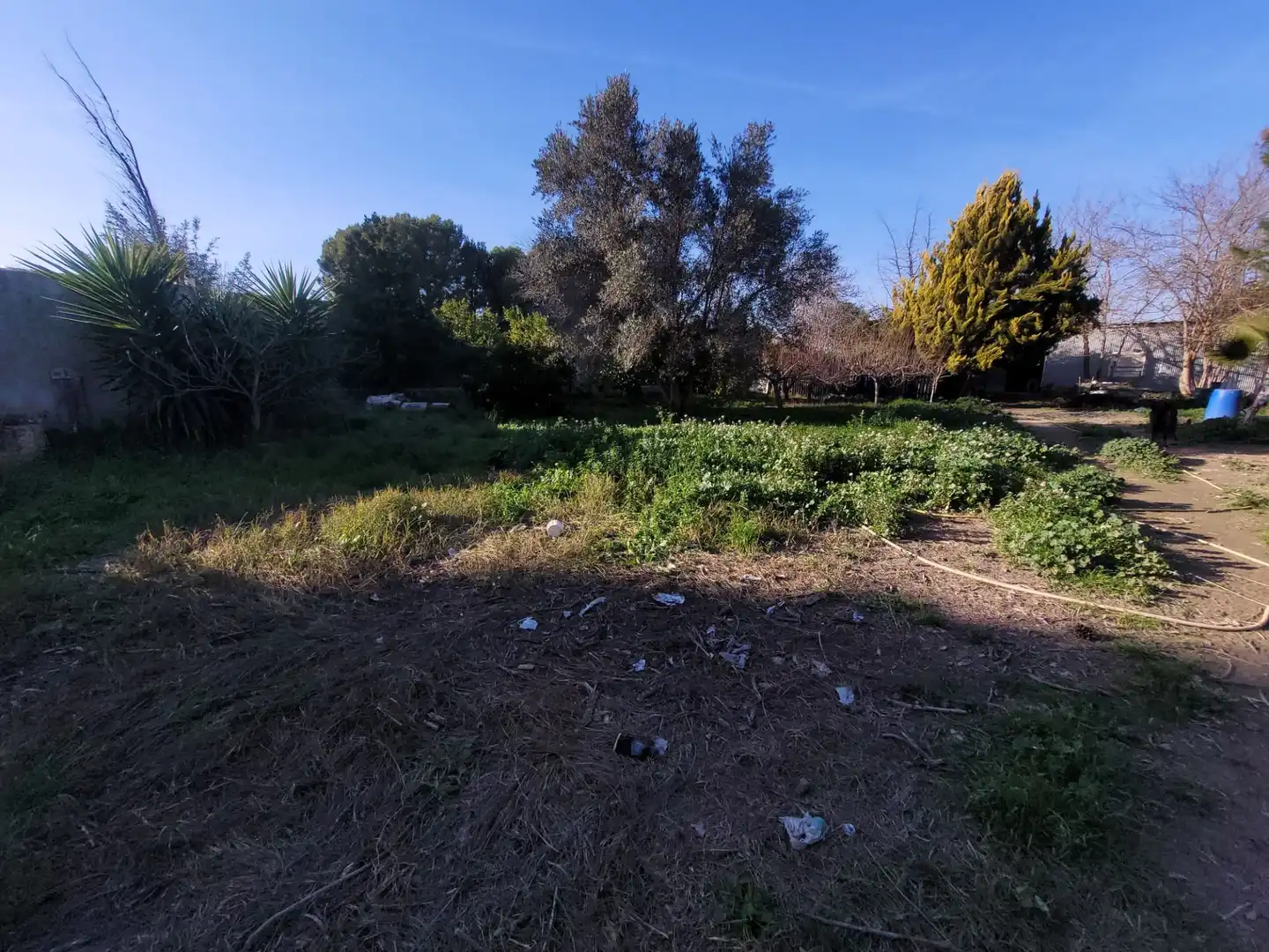 Terrenys i solars en venda a Pedanías Oeste, imagen 11
