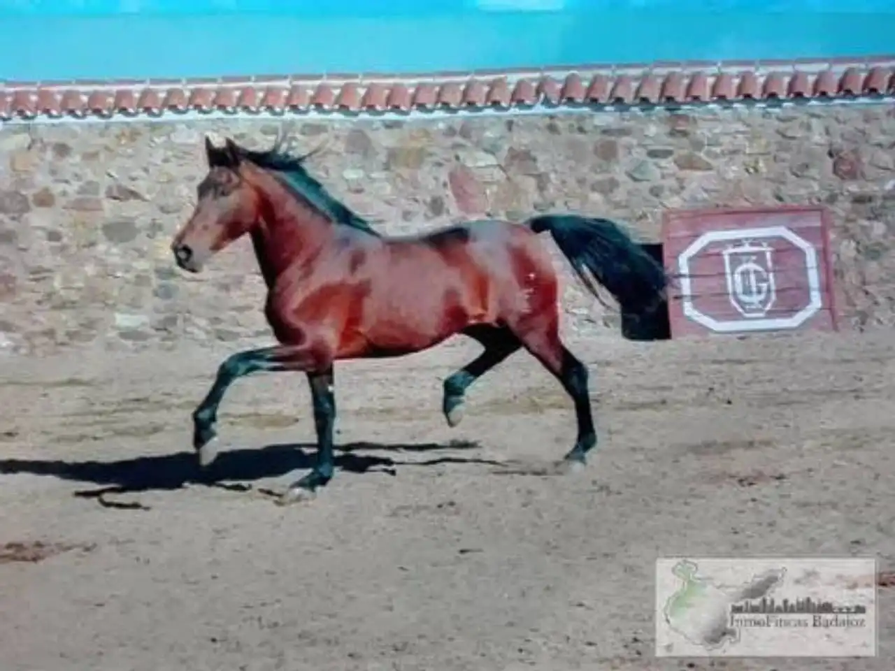 Vista exterior de Finca rústica en venta en Higuera de Vargas con Aire acondicionado, Jardín privado y Terraza