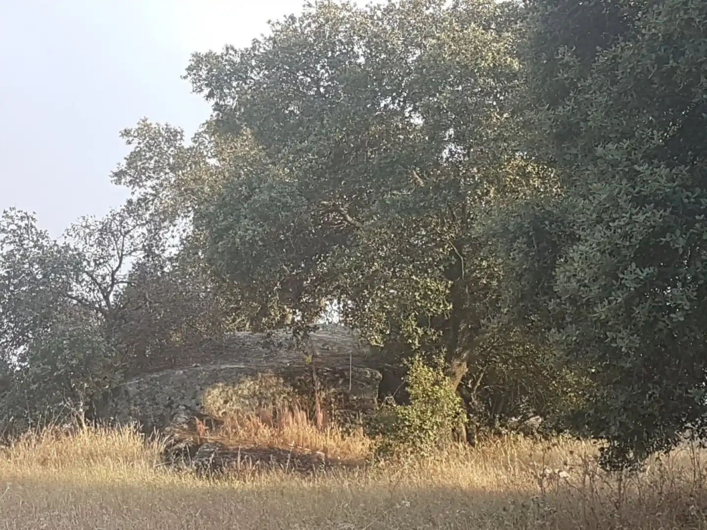 Terreni e lotti in vendita a Esparragalejo