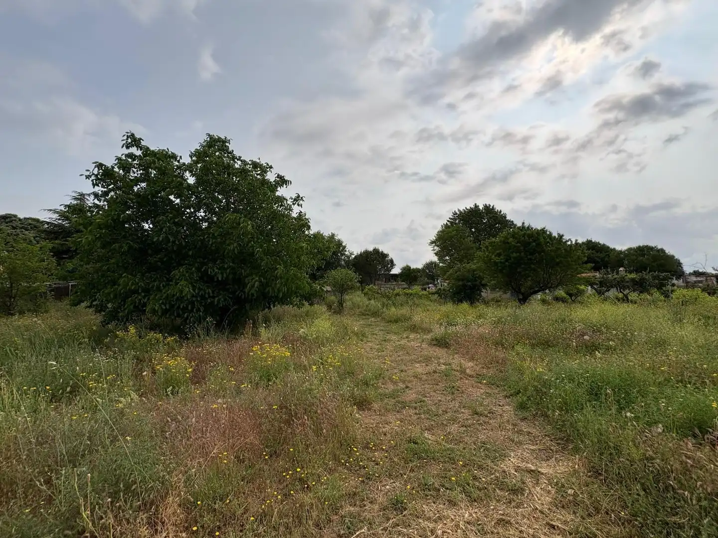 Casa o xalet en venda en Pioz amb Calefacció, Jardí privat i Traster
