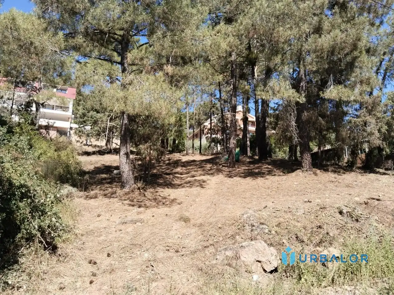 Terreni e lotti in vendita a Nervión, imagen 15