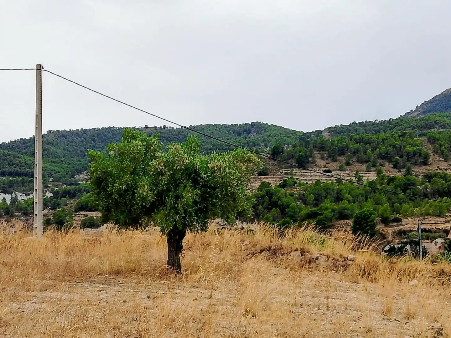 Terreno rustico in vendita a Lugar Castillo, imagen 14