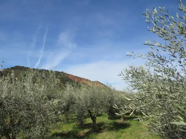 Jardín de Terreno en venta en Cenes de la Vega