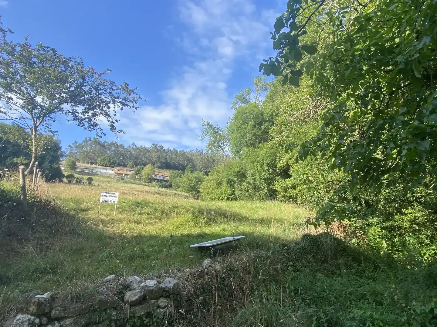 Pis en venda en Llanera