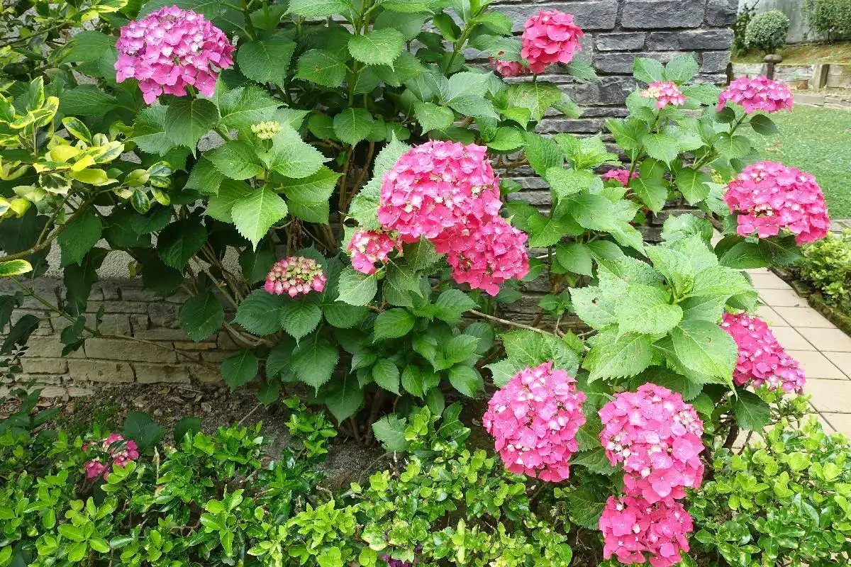 Jardí de Casa o xalet en venda en Mungia amb Calefacció, Jardí privat i Terrassa