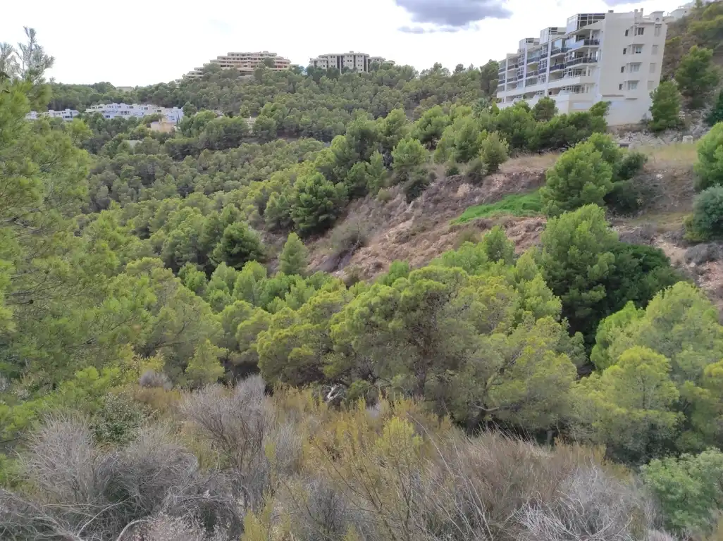 Terrain résidentiel à vendre à PRINCIPAL DE LA SIERRA, imagen 8