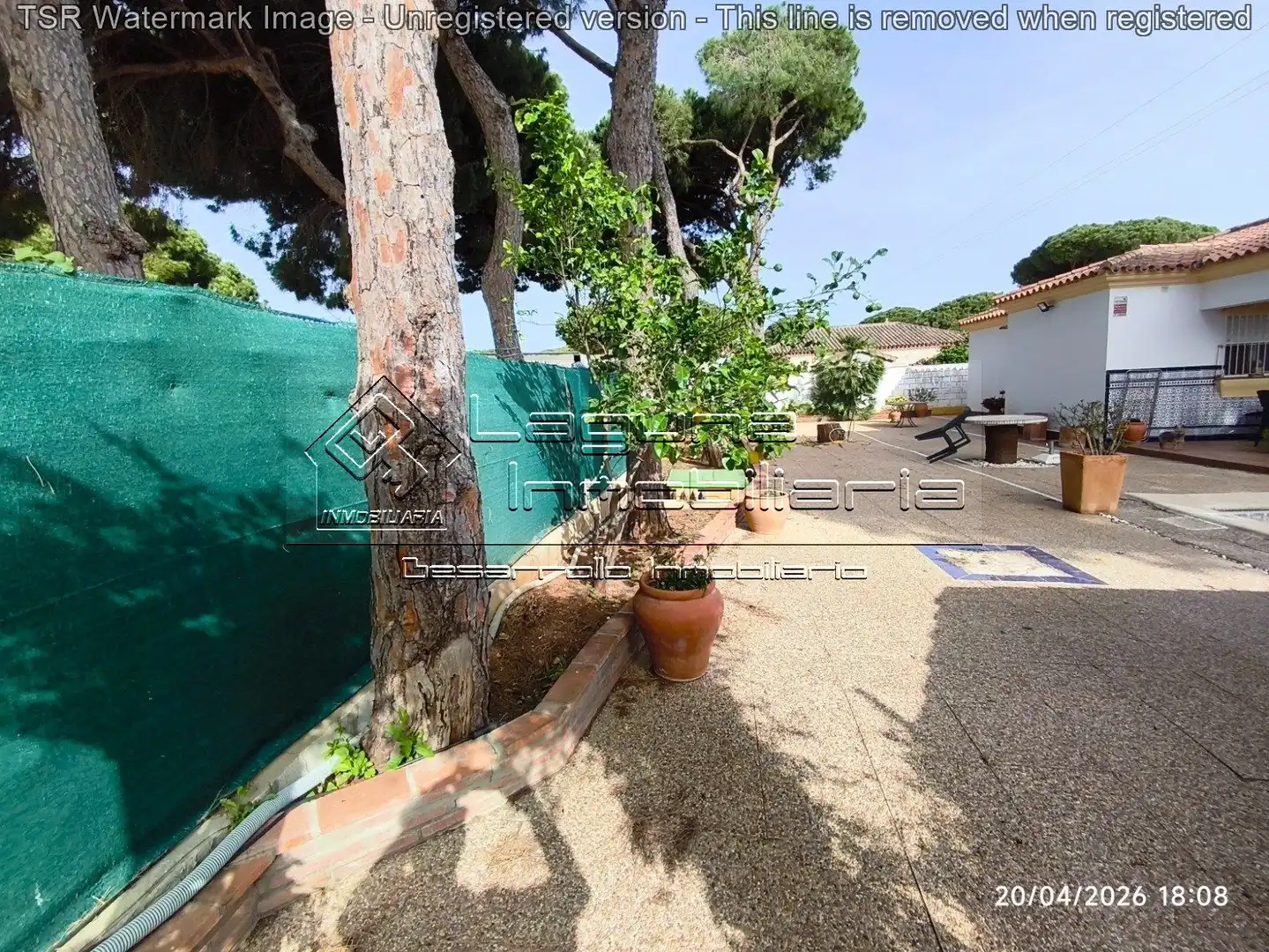 Jardí de Casa o xalet en venda en Chiclana de la Frontera amb Jardí privat, Piscina i Moblat