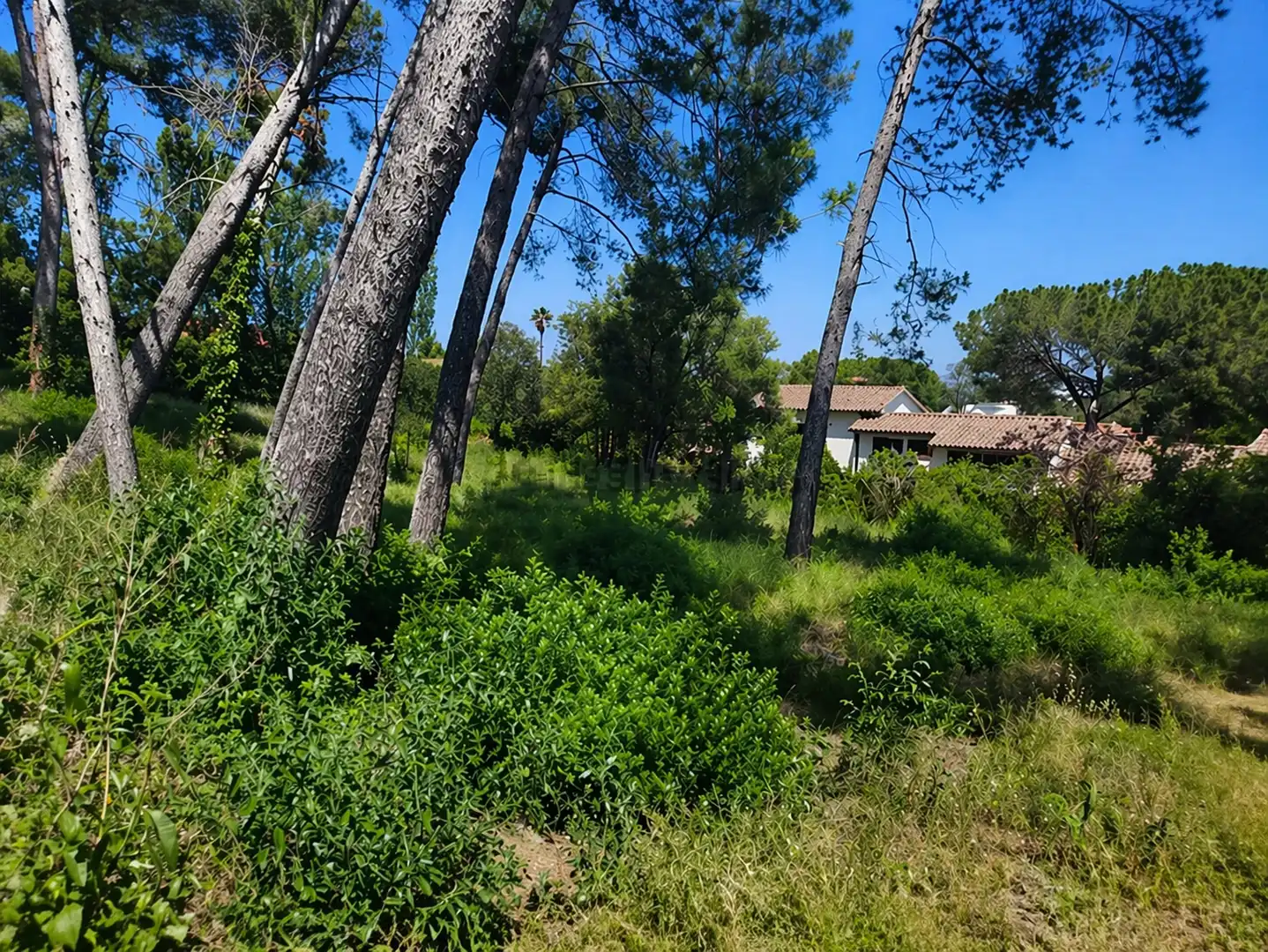 Terreny residencial en venda a Bellaterra, imagen 3