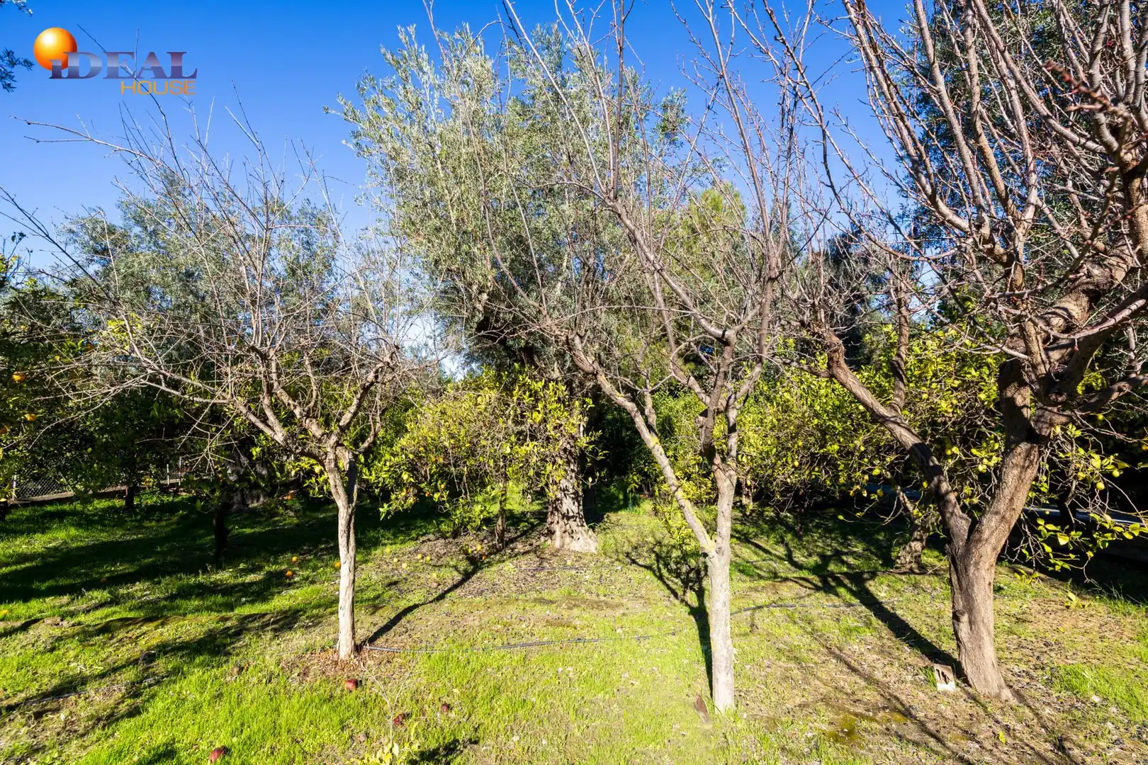 Villa avec terrasse à vendre à El Valle, imagen 58