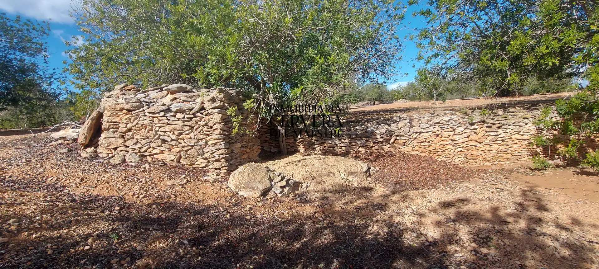 Terreno rustico in vendita a Partidas de interior - Zona Rústica, imagen 6