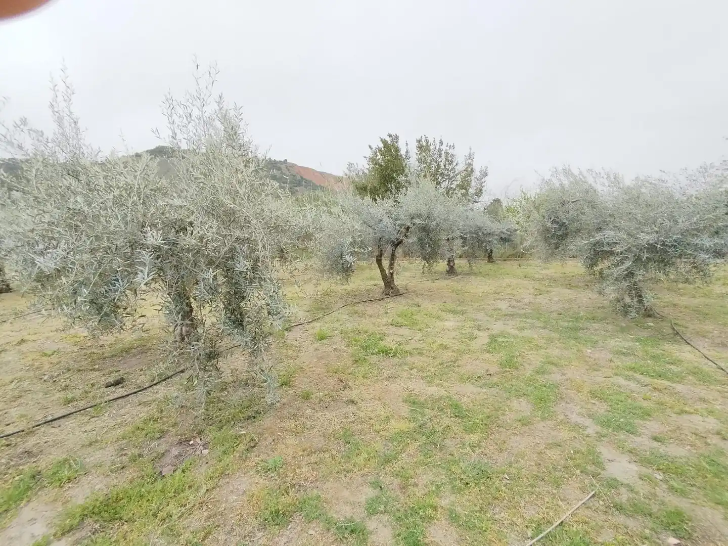 Terreni e lotti in vendita a Carretera Cenes de la Vega, imagen 22