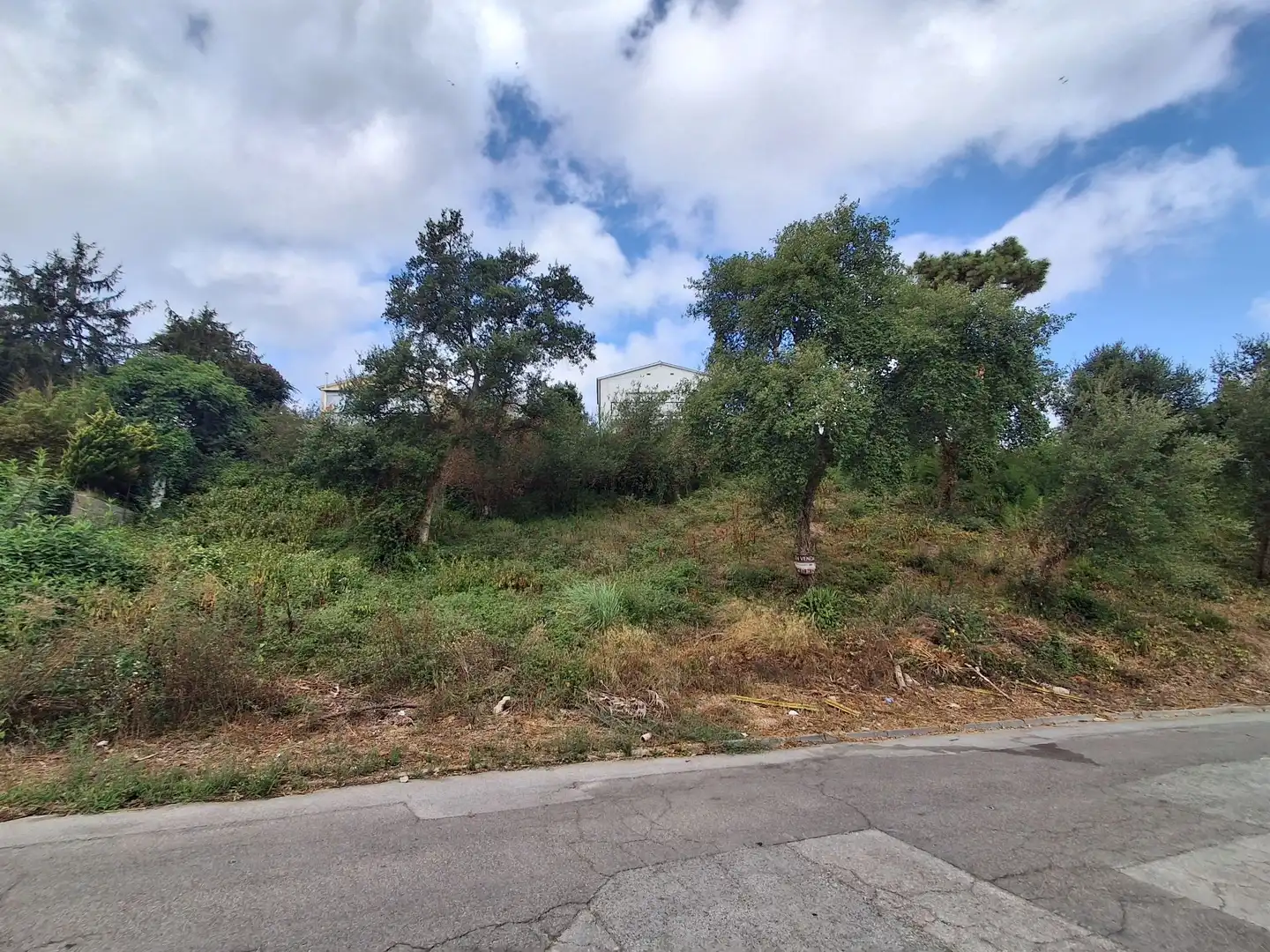Terrenos y solares en venta en Lloret Blau - La Creu de Lloret, imagen 2