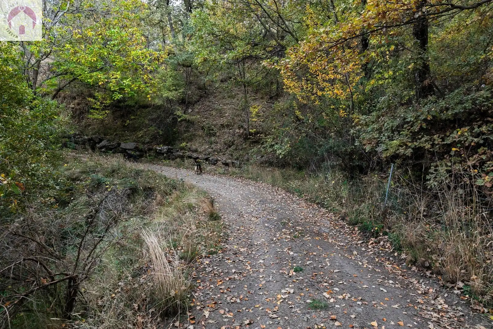 Lands and plots for sale in Güéjar Sierra, imagen 23