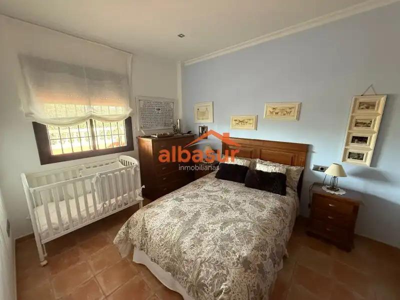 Chalet con piscina en venta en Calle Alcornoque, imagen 17