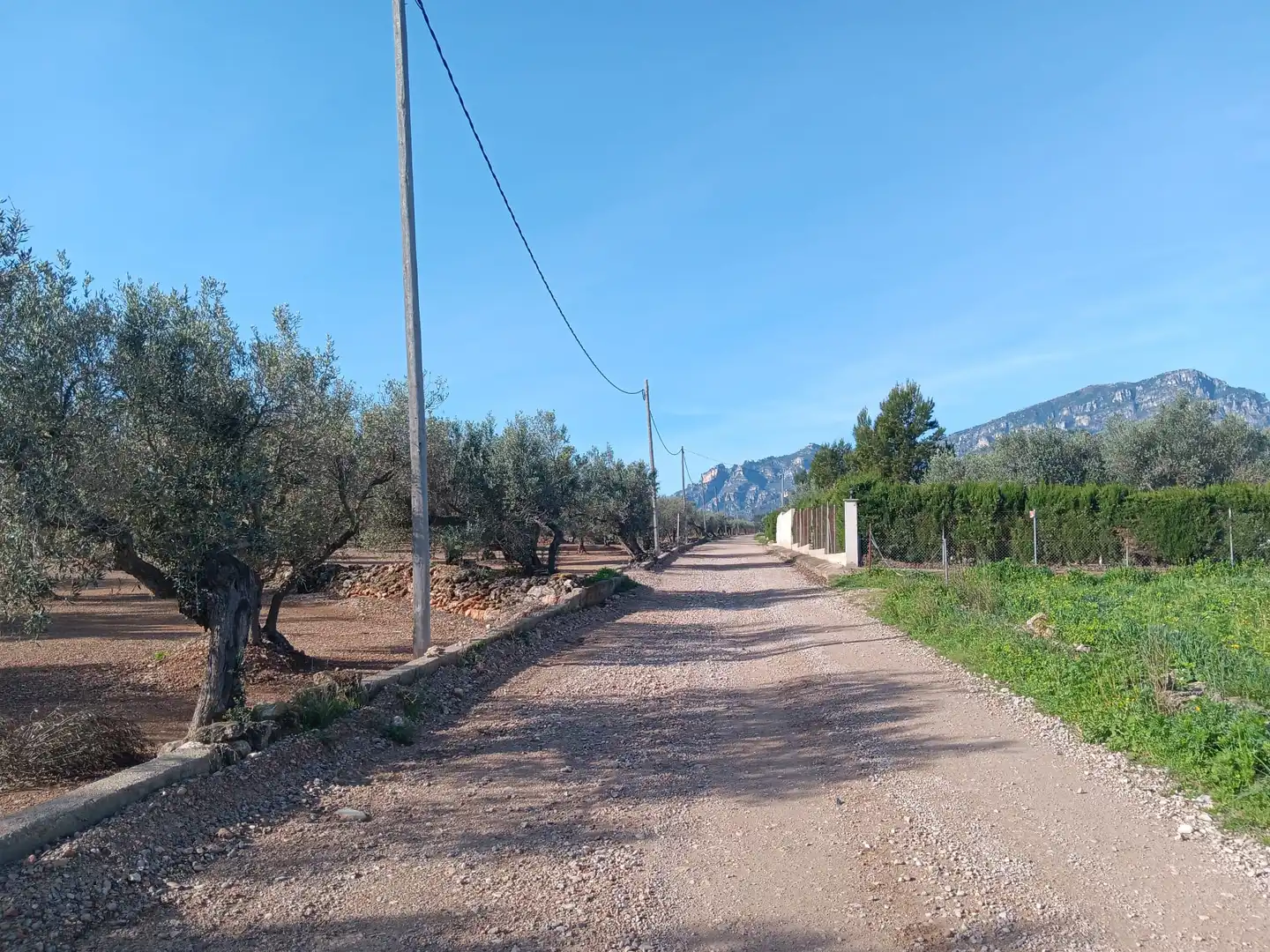 Lands and plots for sale in Roquetes, imagen 19
