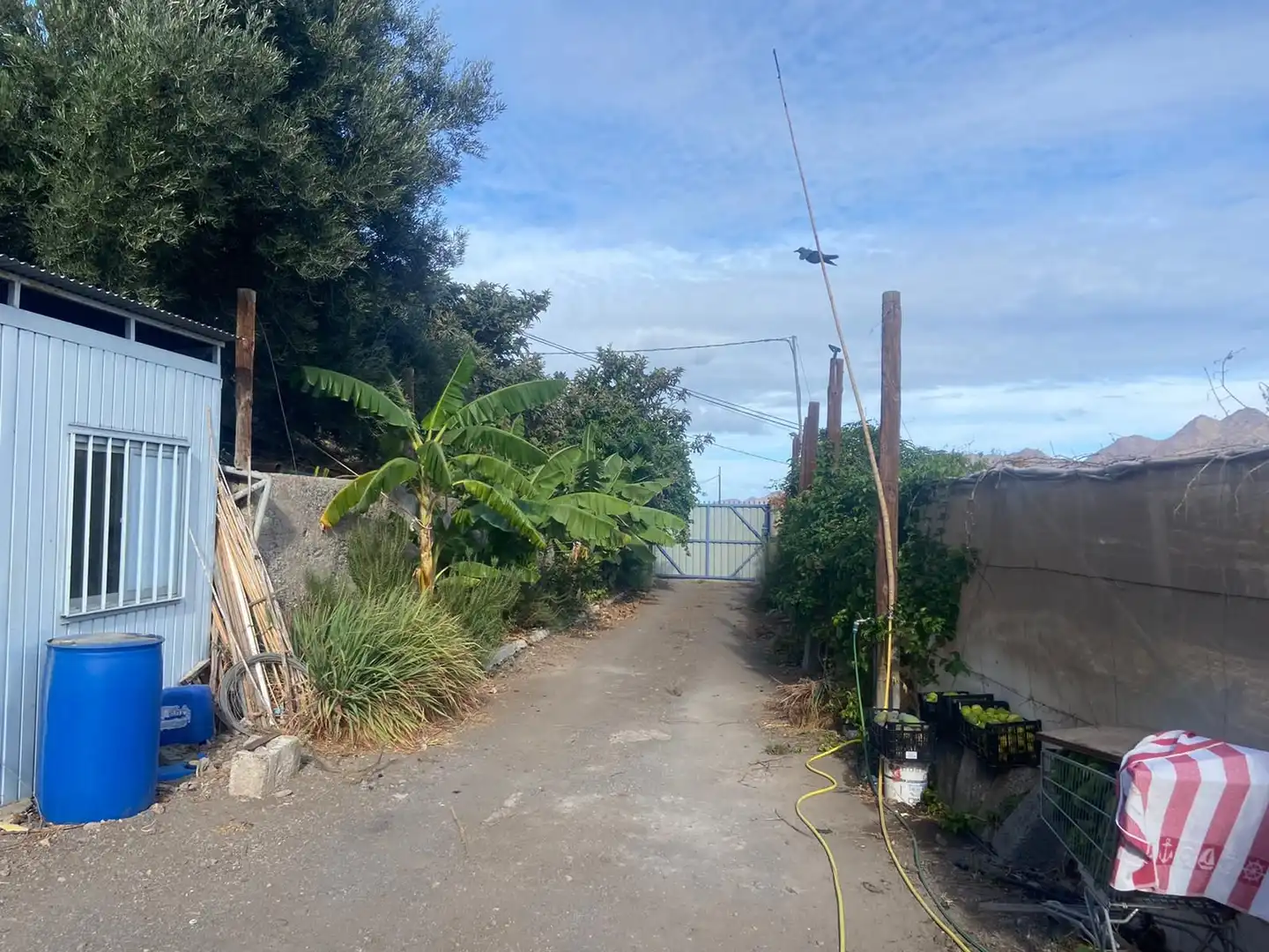 Casa rústica con jardín en venta en La Aldea de San Nicolás, imagen 20