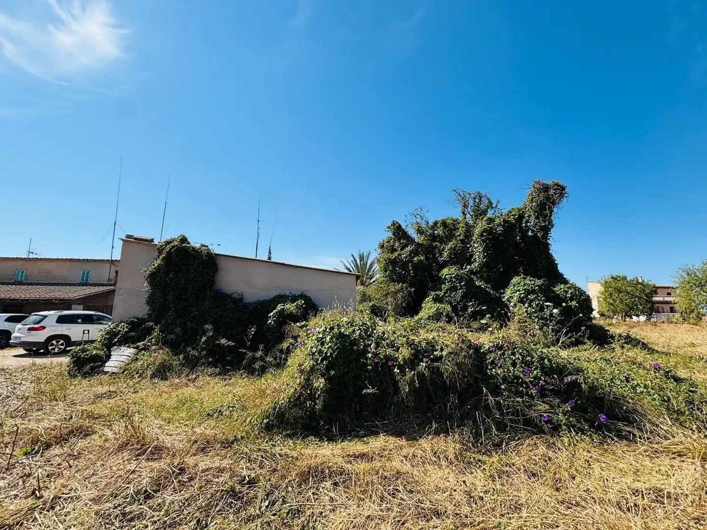 Terreno rústico en venta en Porreres, imagen 5