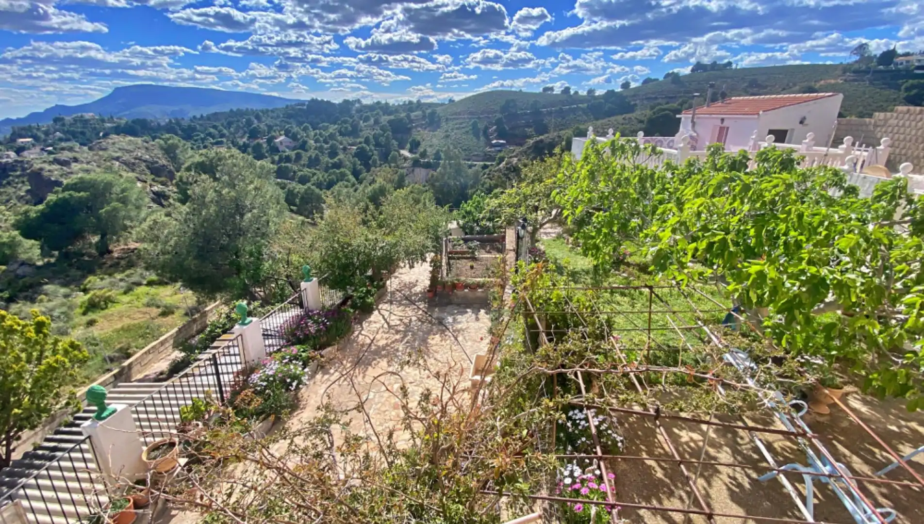 Jardí de Casa o xalet en venda en Aledo amb Jardí privat, Terrassa i Traster