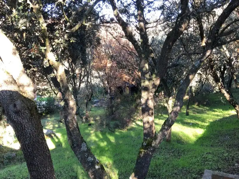 Wohnbaugrundstück zum Verkauf in Calle la Encina 267, imagen 6