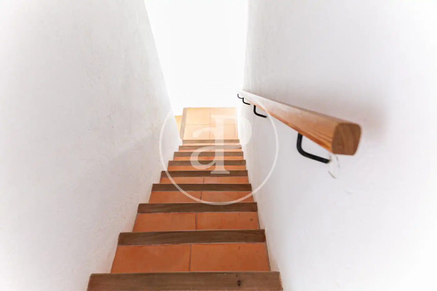 Detached homes for rent in Son Servera  with Terrace and Furnished
