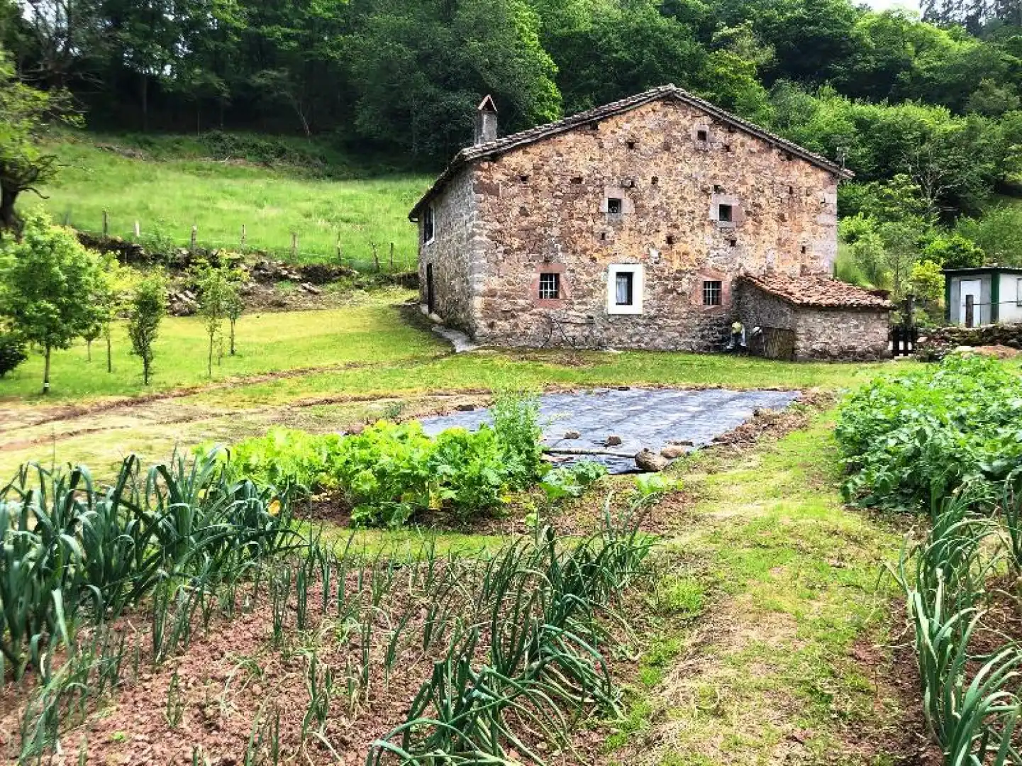 Jardín de Casa o chalet en venta en Valdáliga con Jardín privado