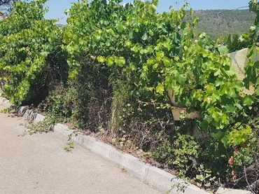 Terreno residencial en venta en Tales